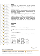 Laden Sie das Bild in den Galerie-Viewer, Pampojila - Januar 2025