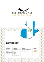 Laden Sie das Bild in den Galerie-Viewer, Lampocoy - September 2025